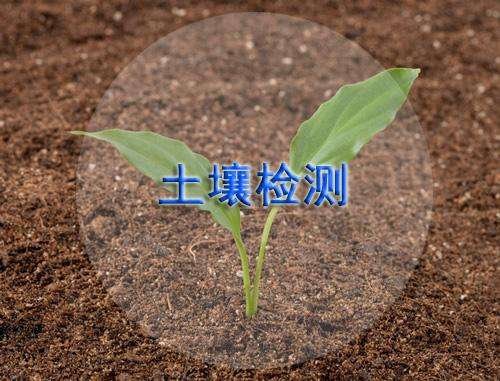 离子色谱仪可用于土壤中氟离子检测
