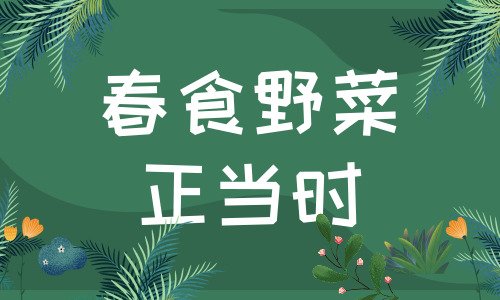 食品安全不能松懈 春暖花开采食野菜要慎重