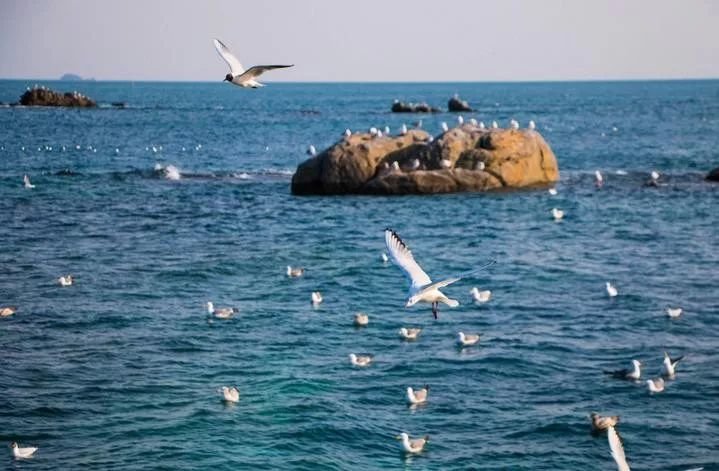 海水常规离子分析