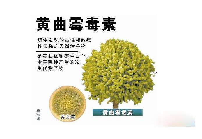 黄曲霉毒素B1、B2的色谱分析报告及相关内容介绍